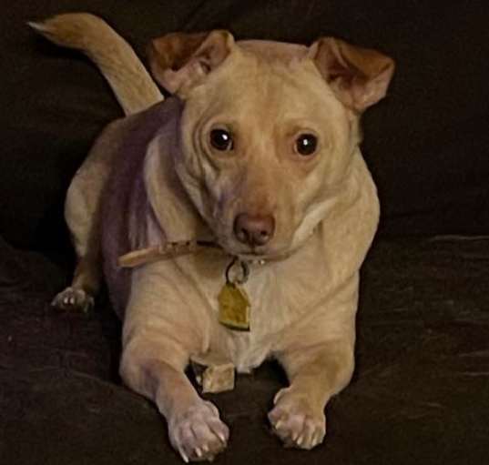 Photo of COOKIE