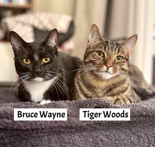 Photo of Bruce Wayne