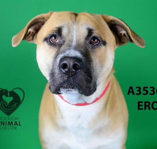 Photo of EROS