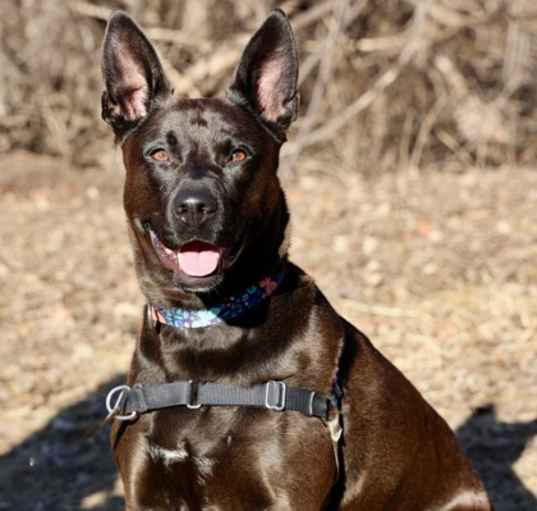 Photo of Blue