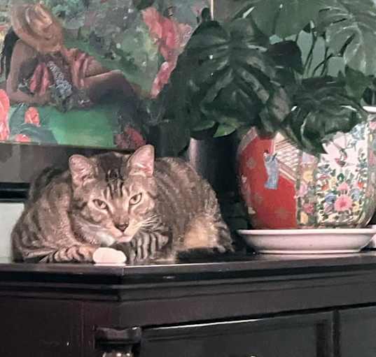 Photo of Riley and Remy
