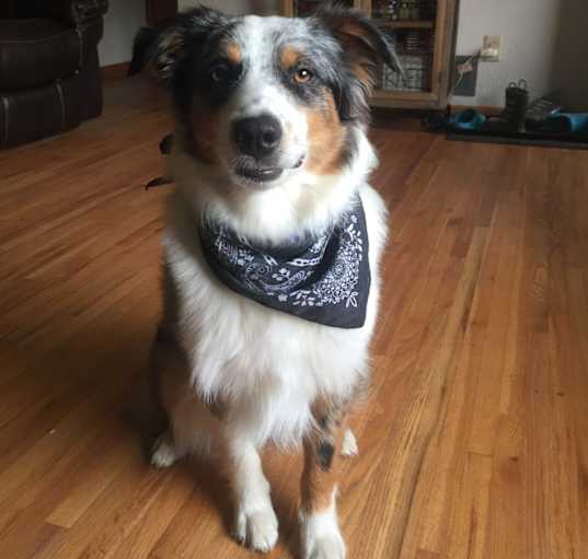 Photo of Asher