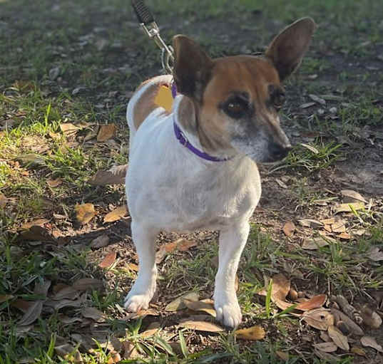 Photo of Betty - Special Girl!