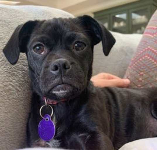 Photo of Bonnie D5709