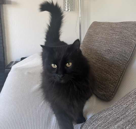Photo of Sophie