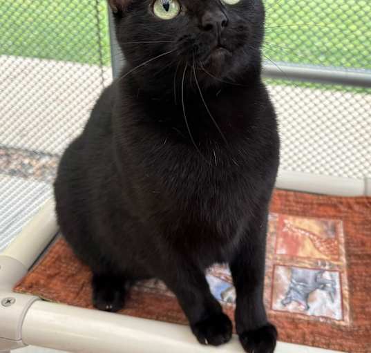 Photo of Faith / AC 26307