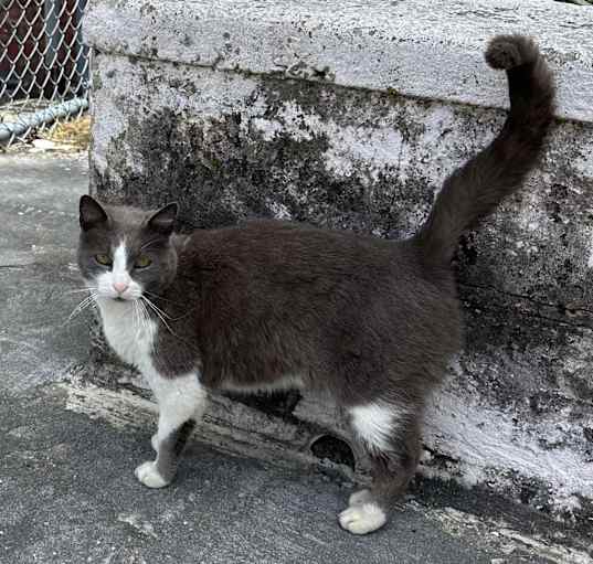 Photo of Clyde