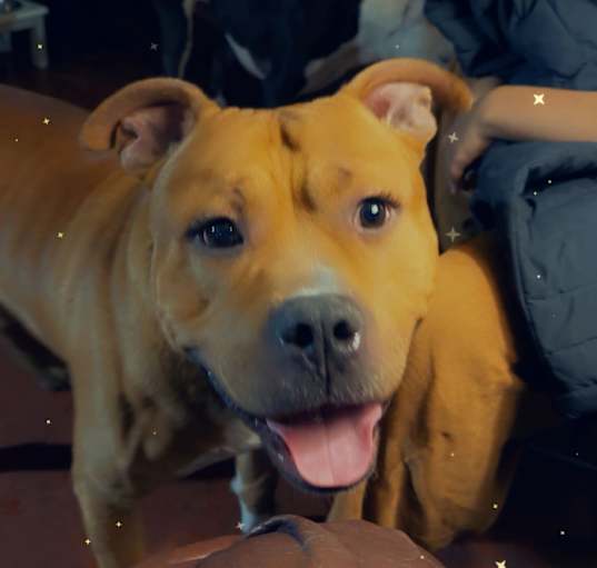 Photo of Tank