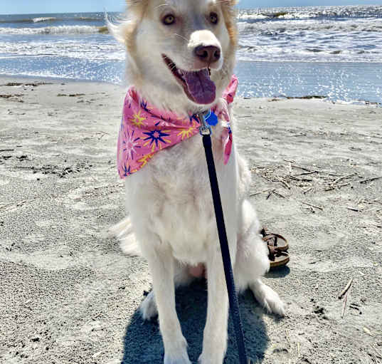 Photo of Angel