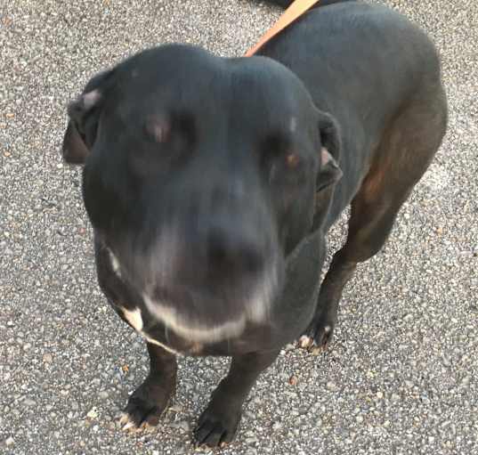 Photo of Maggie