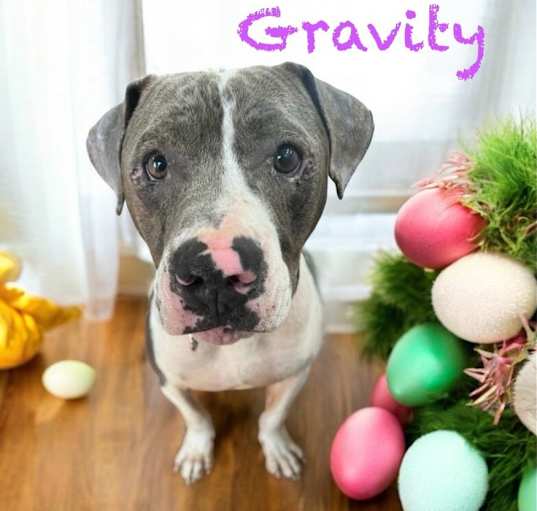 Photo of Gravity