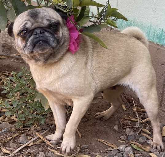 Photo of HEIDY