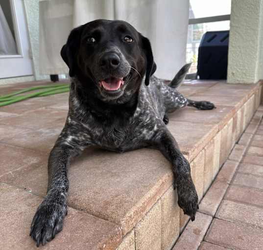 Photo of Maggie