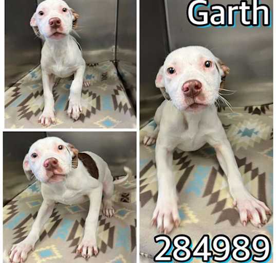 Photo of GARTH