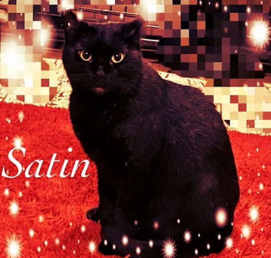 Photo of Satin