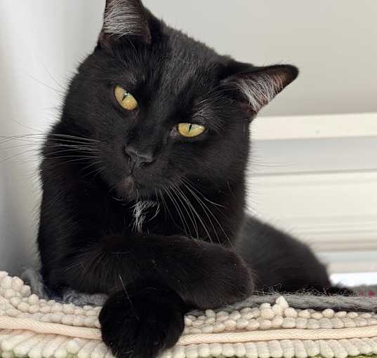 Photo of Bingo