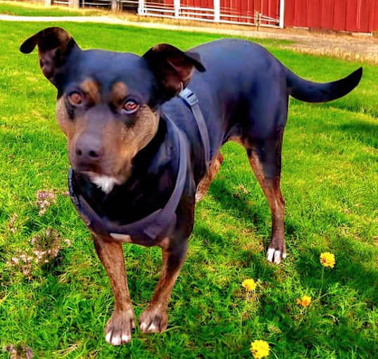 Photo of OAKLEY