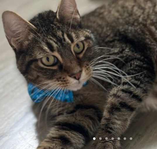 Photo of Hey It's Franklin
