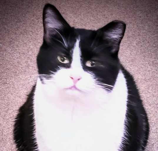 Photo of Mattie