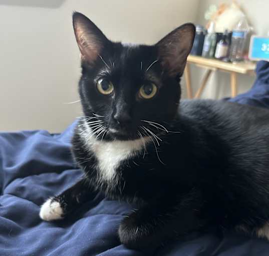 Photo of Neo