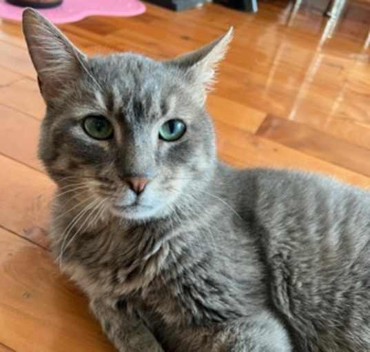 Photo of Mercury