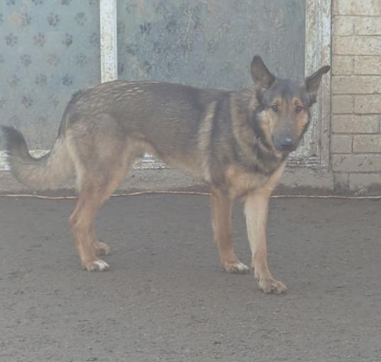 Photo of Sam