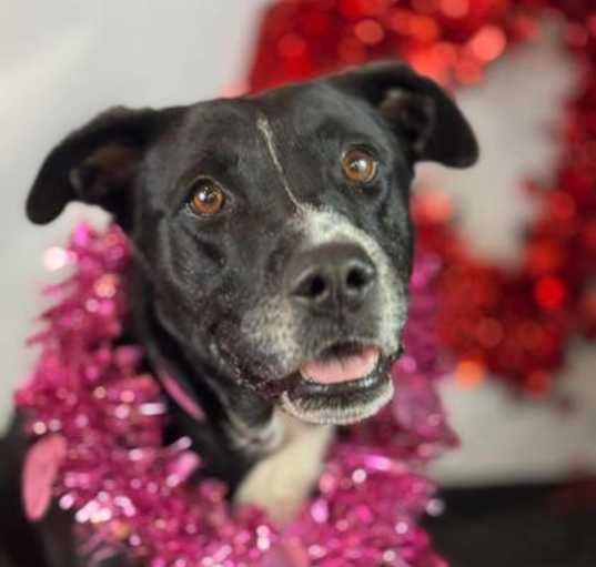 Photo of Mabel