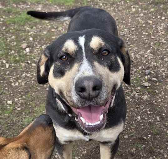 Photo of Bounty