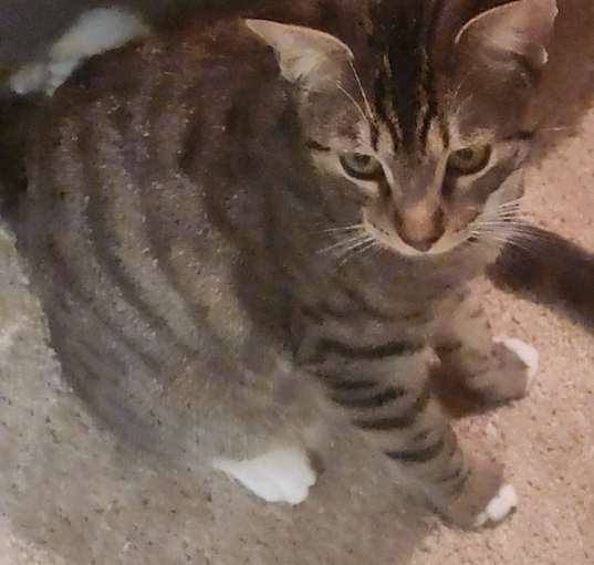 Photo of LILLY