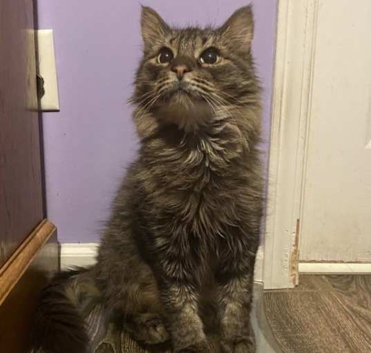 Photo of Gideon