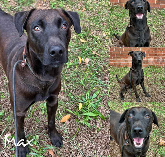 Photo of Max