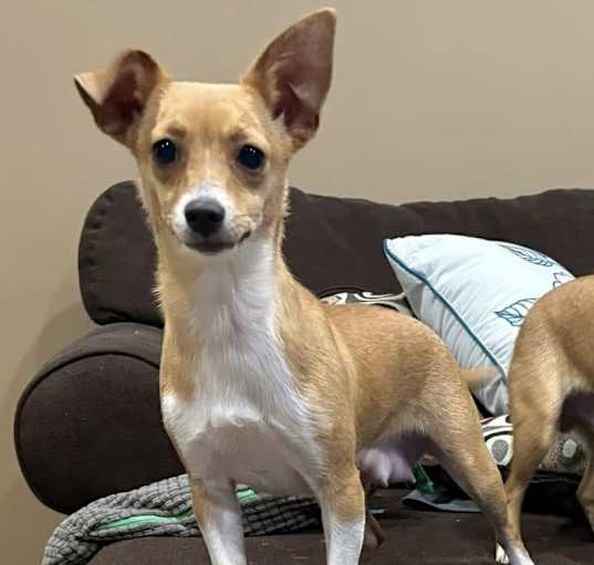 Photo of Mama- BONDED WITH PAPA