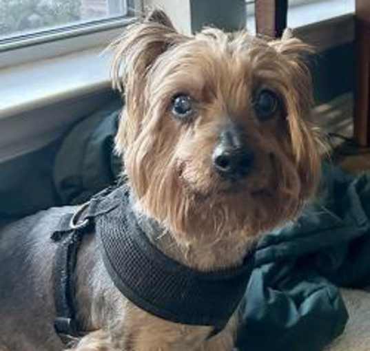 Photo of Zeus