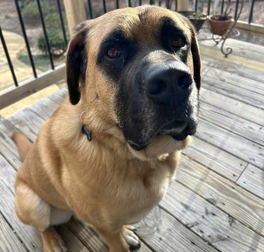 Photo of Max
