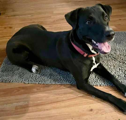Photo of OAKLEY