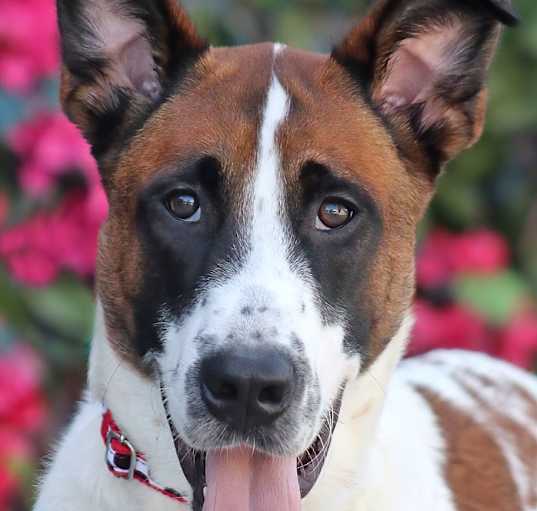 Photo of Zeus