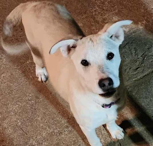 Photo of Daisy Mae