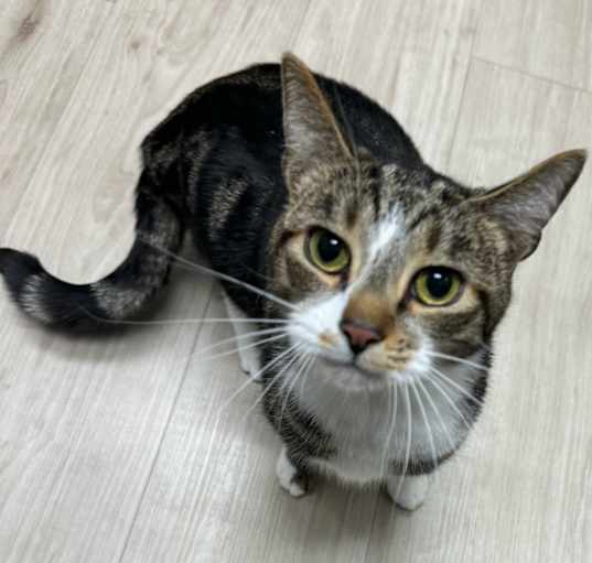 Photo of Maggie