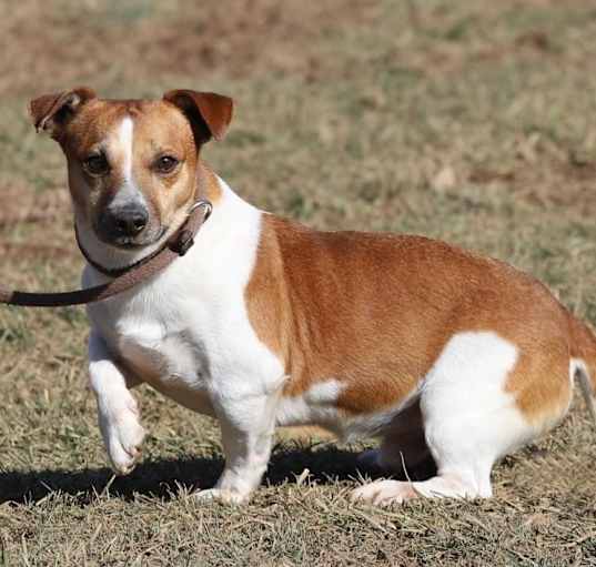 Photo of Burt A