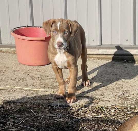 Photo of Twister