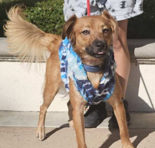 Photo of Bruiser