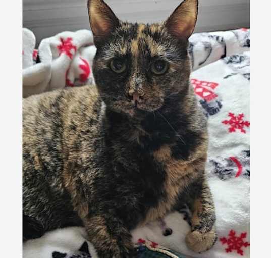 Photo of Clawdette