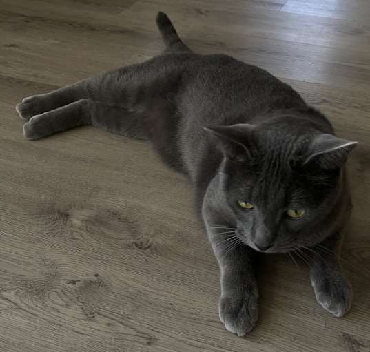 Photo of Stormy