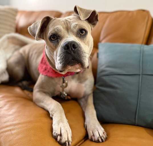 Photo of Hope Couch Queen Family girl