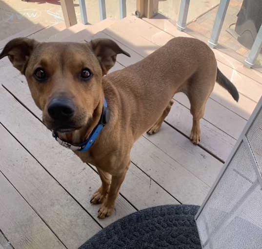 Photo of Benny