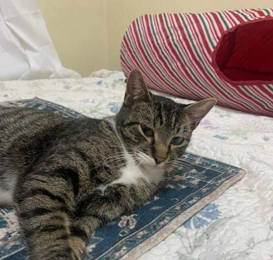 Photo of Timo ( Timoteo)