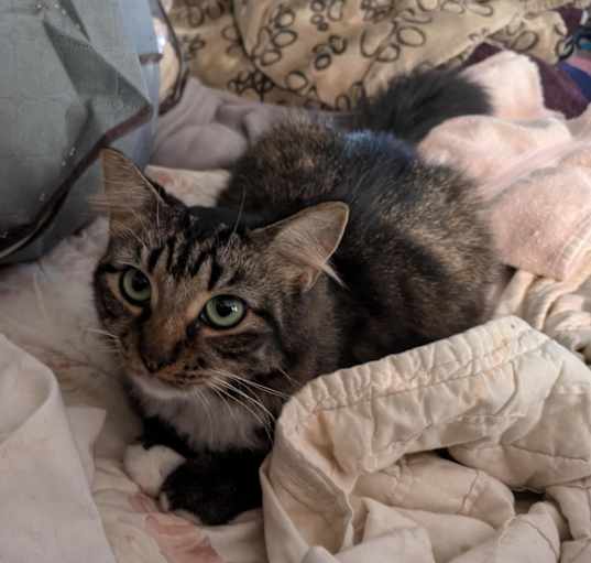 Photo of Lola