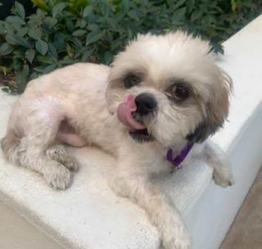 Photo of OBIE