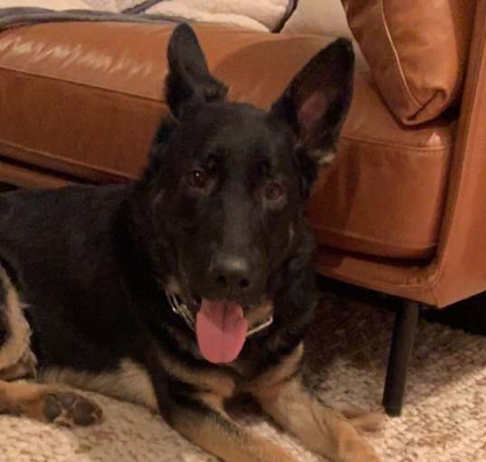 Photo of Trooper