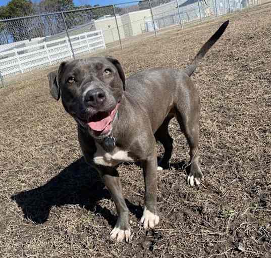 Photo of 2502-0810 Lana (Off Site Foster)